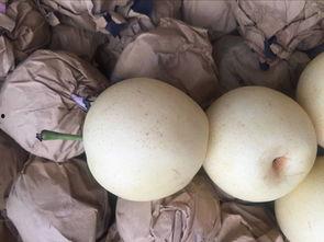 宝鸡吃瓜,探寻地道的吃瓜文化